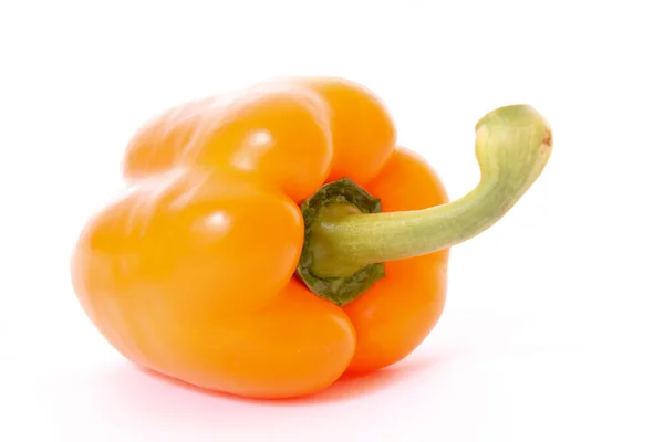 Orangenpfeffer isoliert auf Weiß — Stockfoto