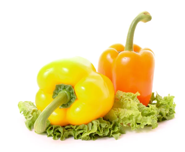 Two peppers on green salad isolated — Stock Photo, Image