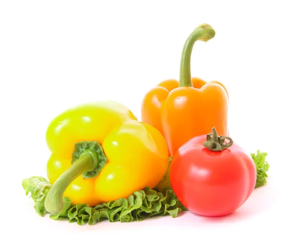Два перці і помідор на зеленому салаті ізольовані — стокове фото