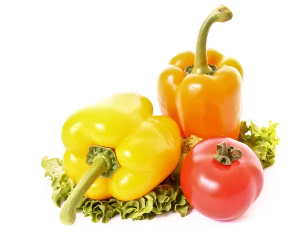 Two peppers and tomato on green salad isolated — Stock Photo, Image