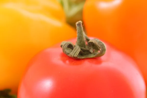 Tomato closeup — Stock Photo, Image