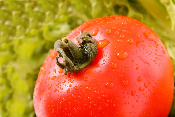 Tomato on green salad background — Stock Photo, Image