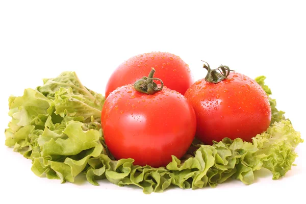 Tomato on salad isolated on white — Stock Photo, Image