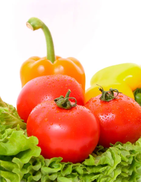 Pomidory i papryka na zieloną sałatą — Zdjęcie stockowe