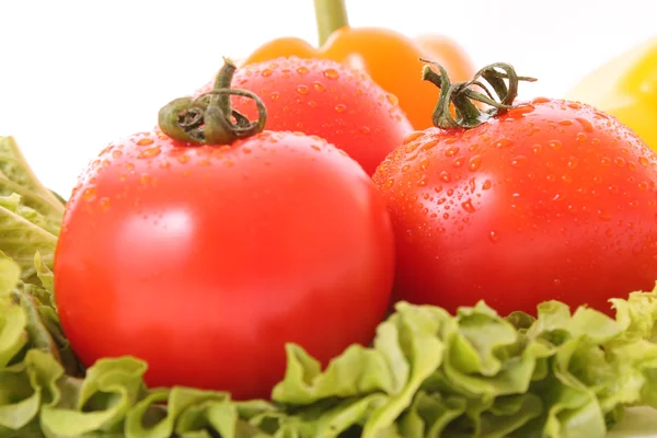 Yeşil salata arka plan domates — Stok fotoğraf