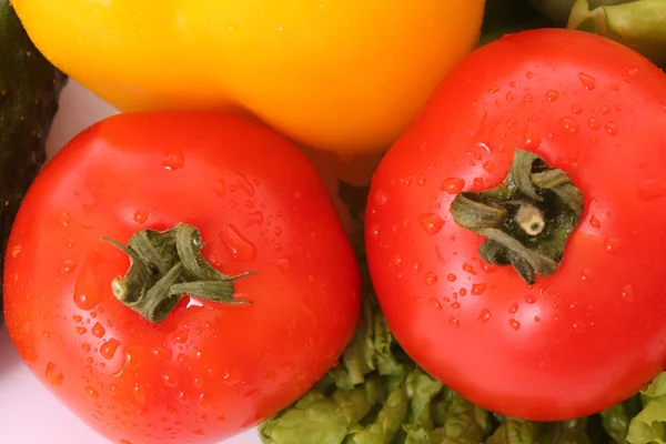 Tomater och andra grönsaker — Stockfoto