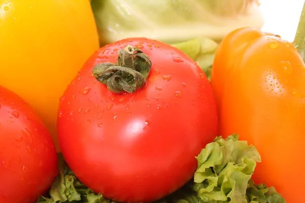 Tomaten und anderes Gemüse — Stockfoto