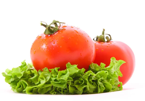 Tomate mit Wassertropfen auf grünem Hintergrund — Stockfoto
