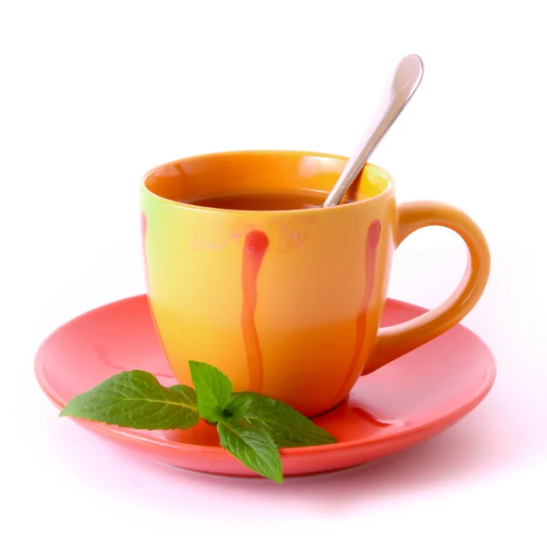 Cup of green tea on the saucer with mint — Stock Photo, Image