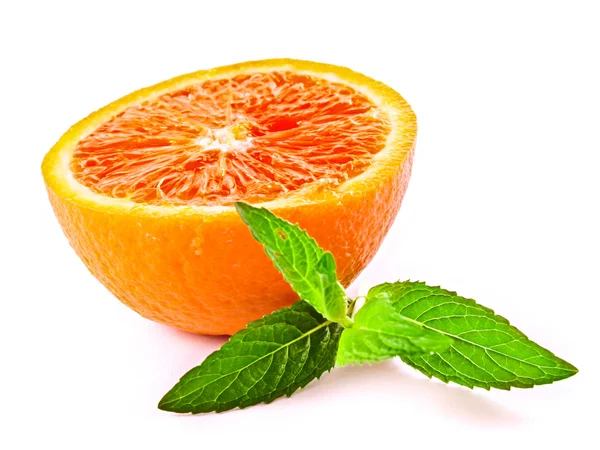오렌지와 녹색 식물 흰색 절연 — 스톡 사진