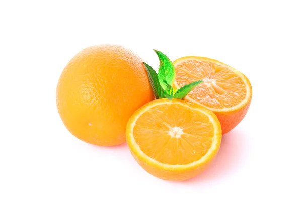 Planta verde arboleda de naranja sobre blanco — Foto de Stock