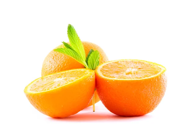 화이트에 오렌지에서 최대 녹색 식물 그로브 — 스톡 사진