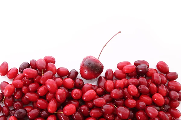 Cereja e cranberries no fundo branco — Fotografia de Stock