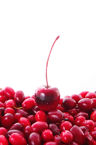 Cereja e cranberries no fundo branco — Fotografia de Stock