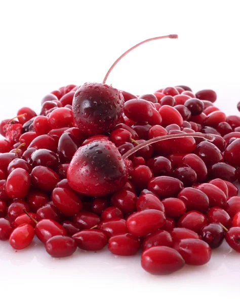Cherry dan cranberry di latar belakang putih — Stok Foto