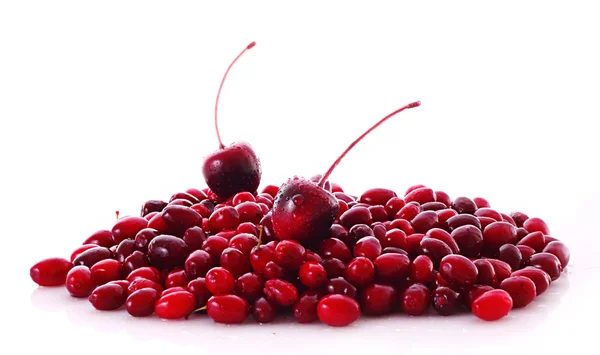 Cherry and cranberries on white background — Stock Photo, Image