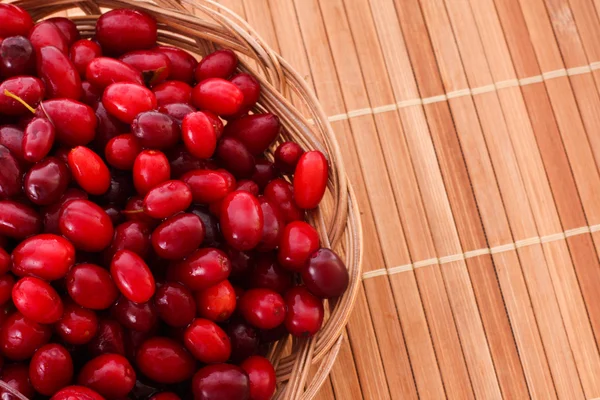 Cranberries on the plate — Stock Photo, Image