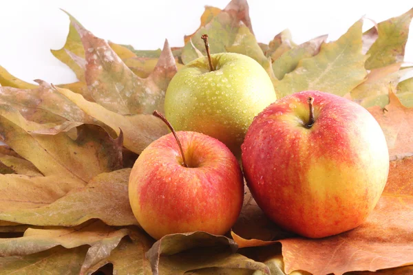 Tre äpplen på bladen — Stockfoto