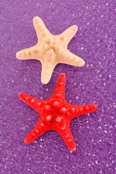 Seastar on purple background — Stock Photo, Image