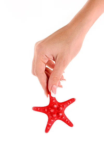 Seastar in hand isolated on white — Stock Photo, Image
