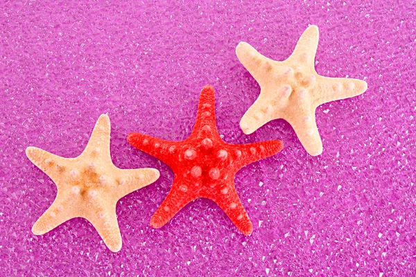 Морская звезда на красном фоне — стоковое фото
