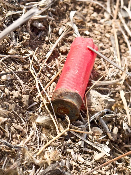 Shotgun cartridge on ground — Stock Photo, Image