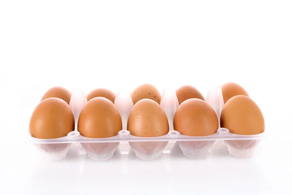 Molte uova isolate su bianco — Foto Stock