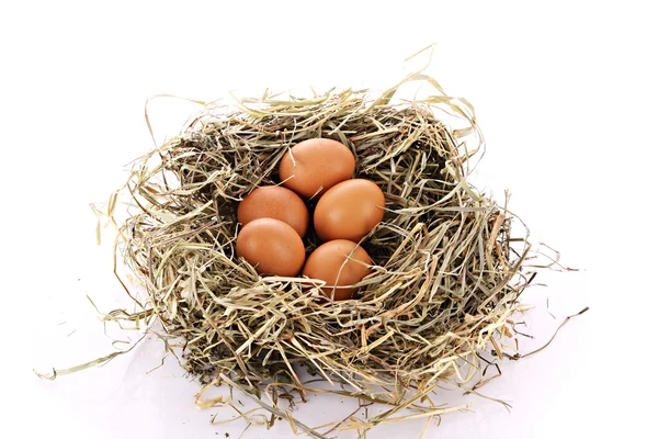 Üç yumurta üzerinde beyaz izole kuş yuvası — Stok fotoğraf