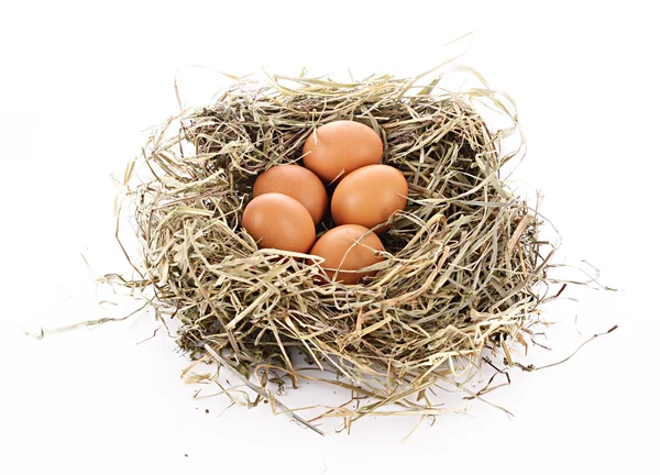 A három tojás elszigetelt fehér madár fészek — Stock Fotó