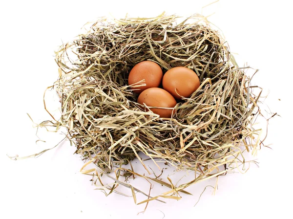 Üç yumurta üzerinde beyaz izole kuş yuvası — Stok fotoğraf