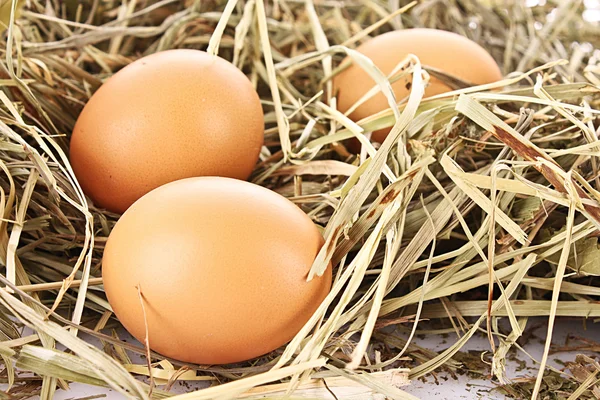Πουλί φωλιά με τρία αυγά που απομονώνονται σε λευκό — Φωτογραφία Αρχείου