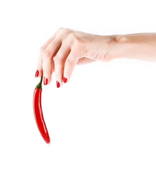 Red chilly pepper in hand isolated on white — Stock Photo, Image