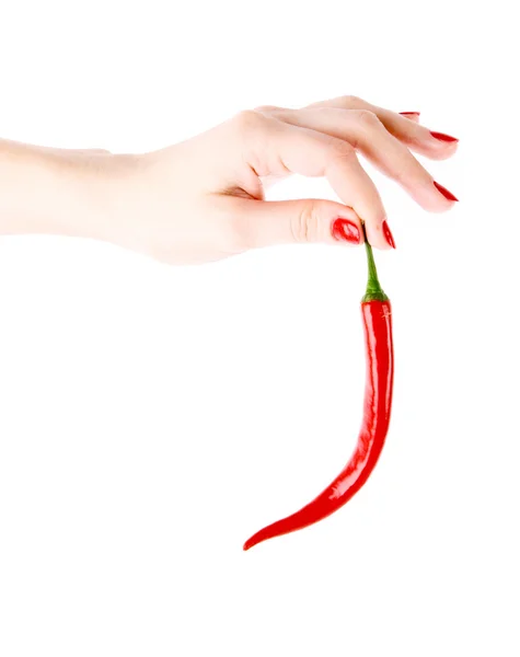 Rote Chilischote in der Hand isoliert auf weißem — Stockfoto