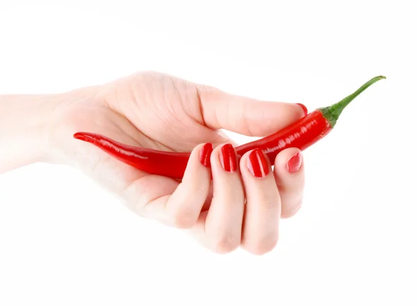 Red chilly pepper in hand isolated on white — Stock Photo, Image