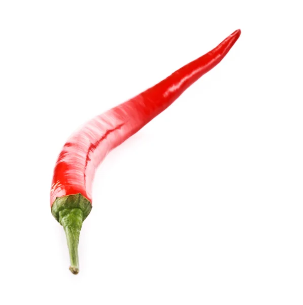 Röd kylig paprika isolerad på vit — Stockfoto