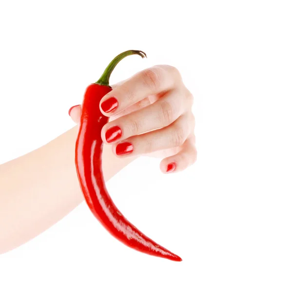 Red chilly pepper in hand isolated on white