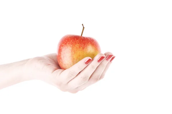 白で隔離される手上のリンゴ — ストック写真