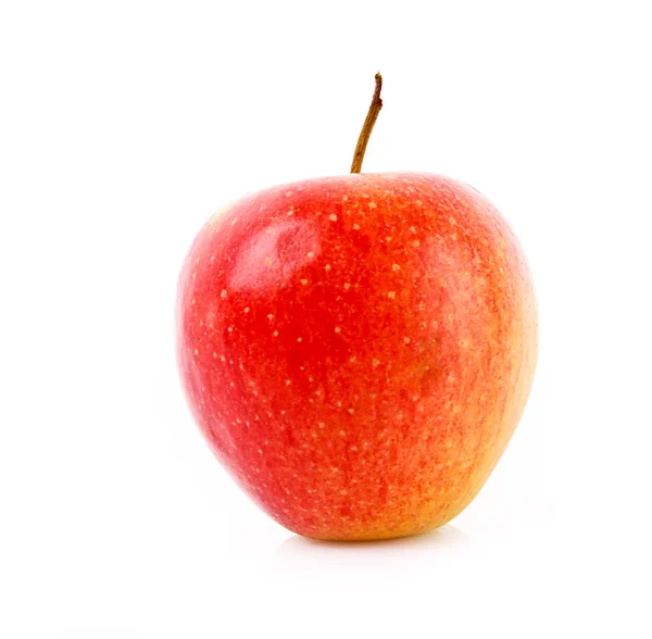 Roter Apfel isoliert auf weißem — Stockfoto