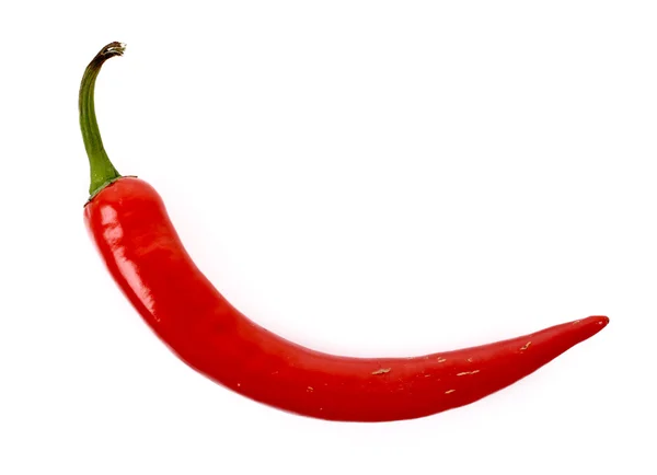 Red chilly pepper isolated on white — Stock Photo, Image