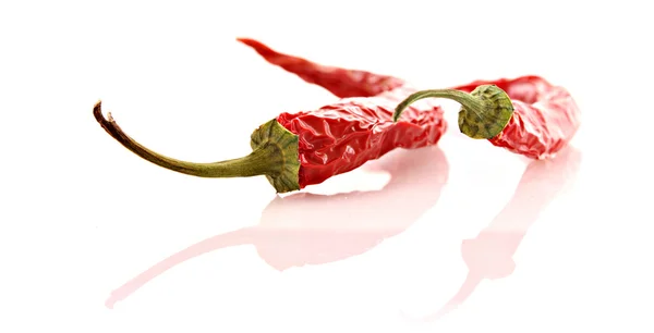 Two red chilly pepper isolated on white — Stock Photo, Image