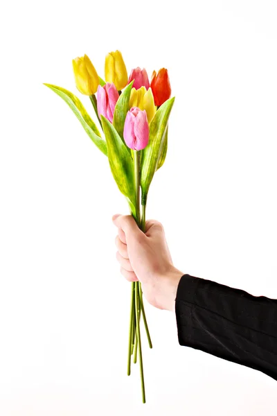 Тюльпани в руці, ізольовані на білому — стокове фото