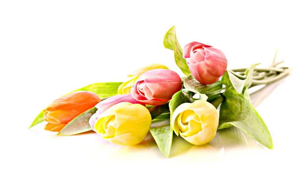 Тюльпани ізольовані на білому — стокове фото