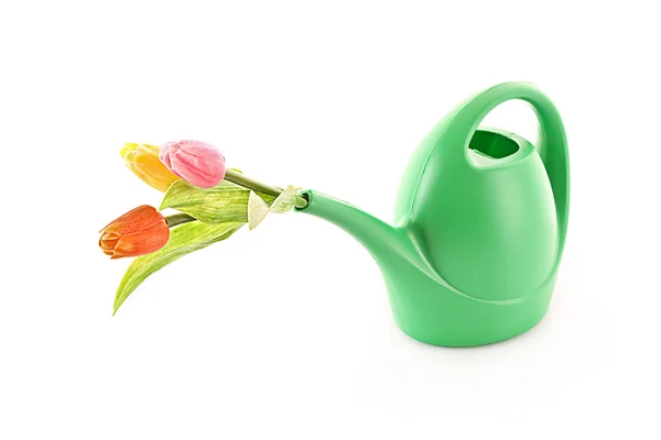 Bailer with flower isolated on white — Stock Photo, Image