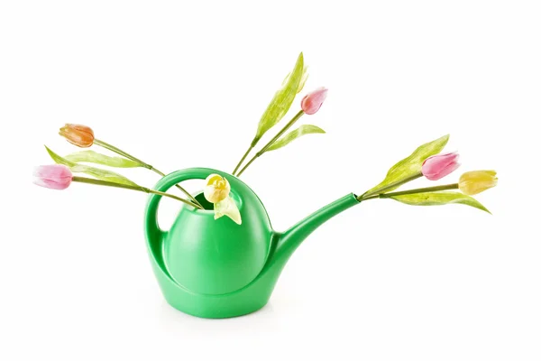 Bailer with flower isolated on white — Stock Photo, Image