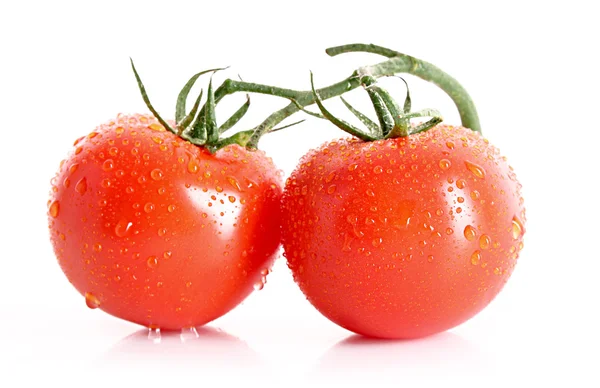 Dvě rajčata izolovaných na bílém — Stock fotografie