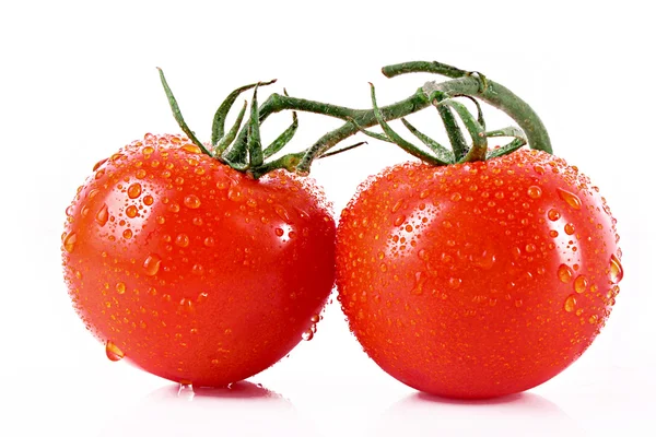 Два томата, изолированных на белом — стоковое фото
