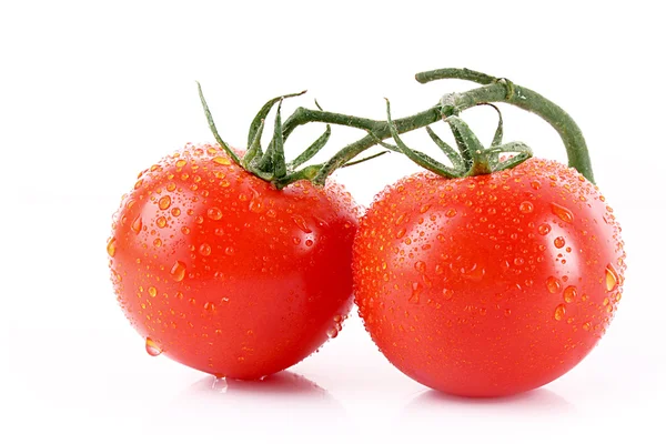 Zwei Tomaten isoliert auf weiß — Stockfoto