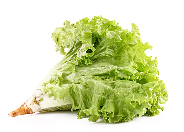 Salade geïsoleerd op wit — Stockfoto