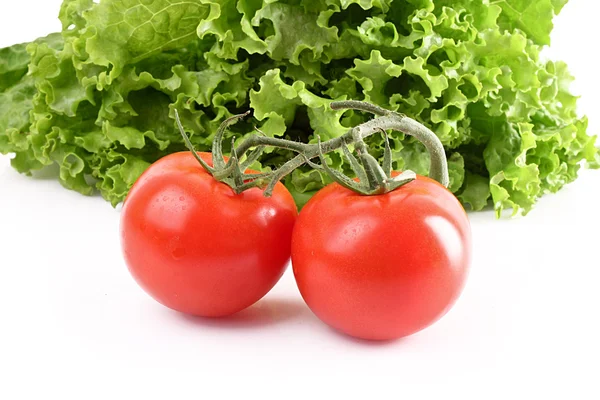 Iki domates ve üzerinde beyaz izole salata — Stok fotoğraf