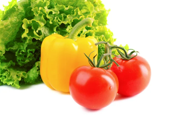Pepino, pimienta, tomate y ensalada aislados en blanco — Foto de Stock